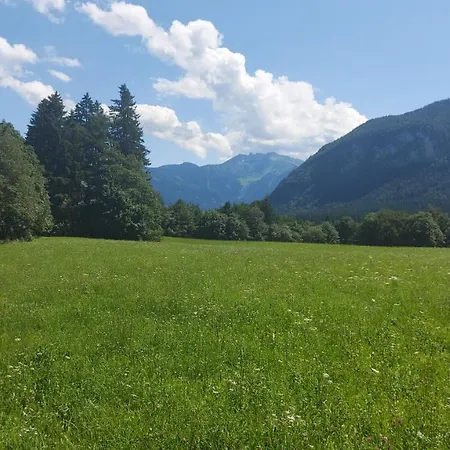 Apartamento Adlerblick *